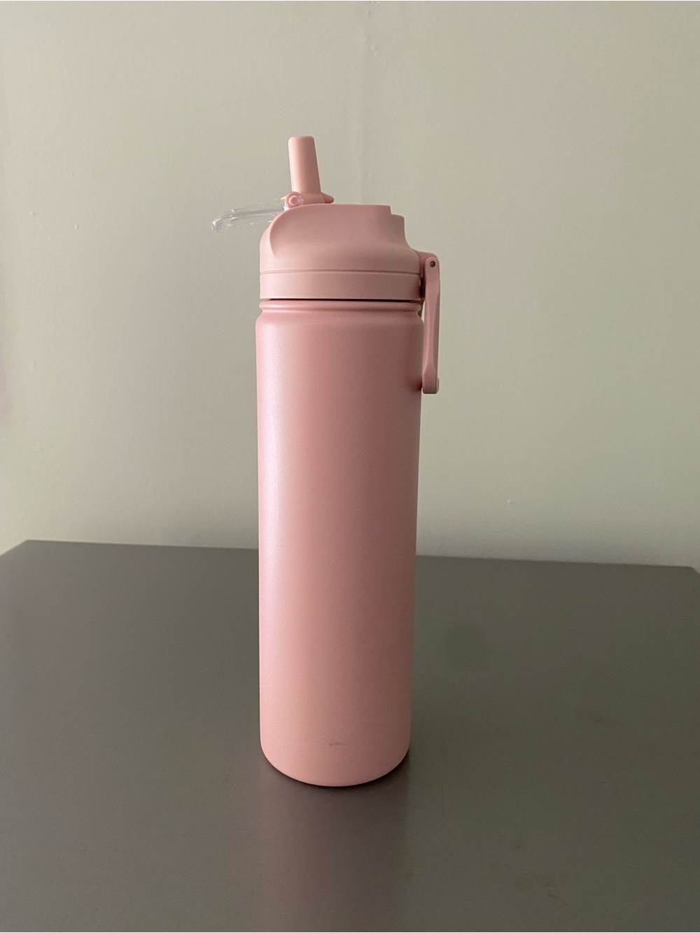 Pink Stainless Travel Water Bottle with Flip Straw
